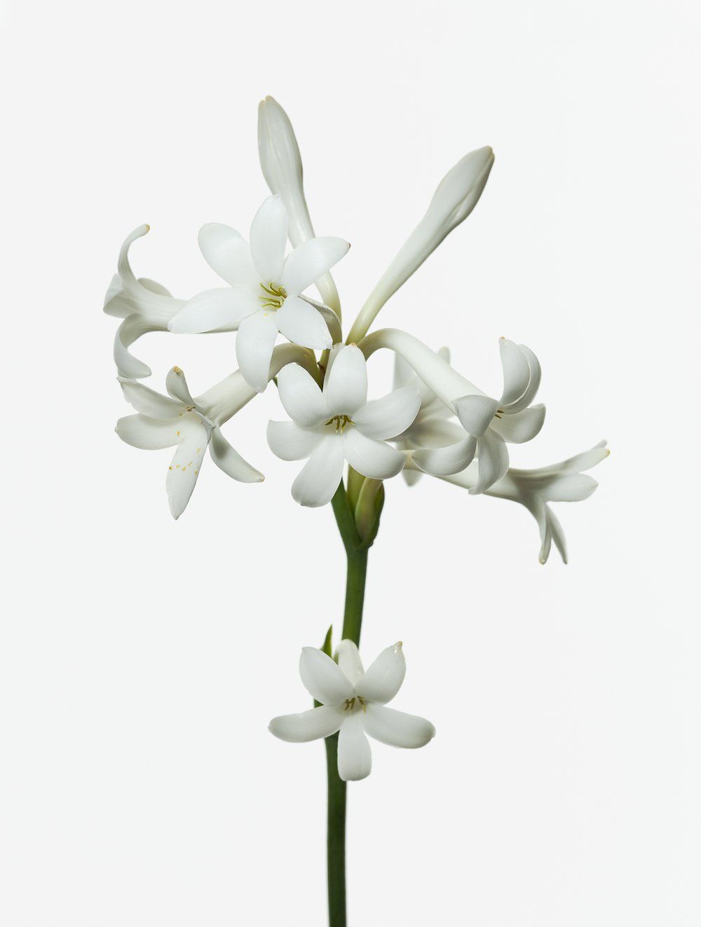 Jardin Secret – Vaporisateur d’Ambiance